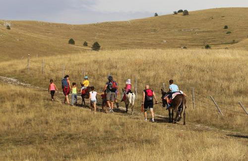 Casa Ladyhawke - Foto 5