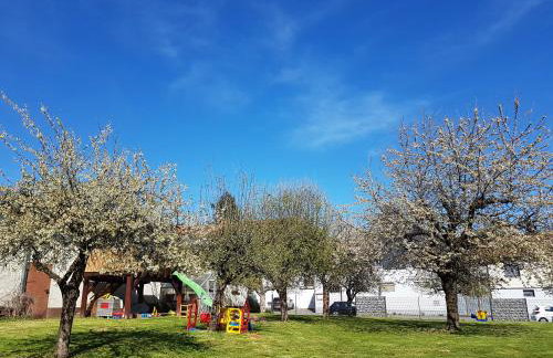 Tolle Untergeschoss-Wohnung für bis zu 5 Personen mit großem Garten und Terrasse - Photo 28
