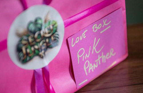 Secret Jungle - Love Room by PRIM0 C0NCIERGERIE - Foto 40