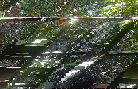 Skale peregrino ecolodge - Foto 24