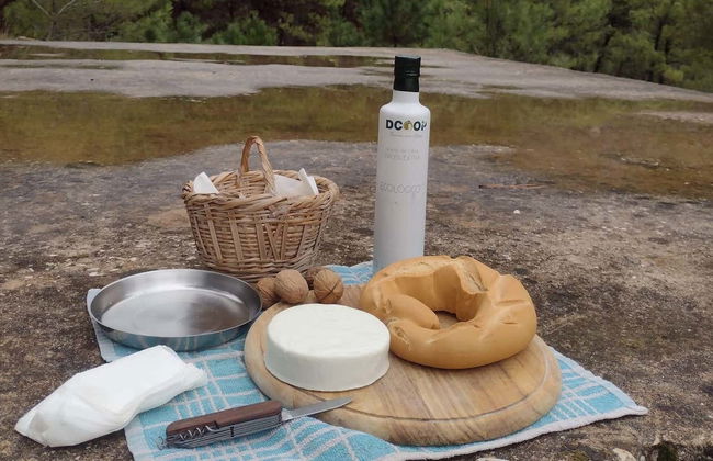 Tour en 4x4 por el Parque Nacional Sierra de las Nieves - Foto 4
