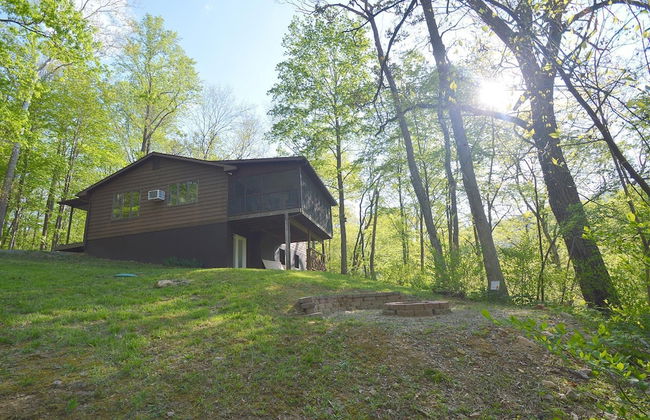 Chesnutt Cabin on the Cacapon River - Foto 46