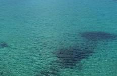 White Lotus seaside apartment - Photo 56