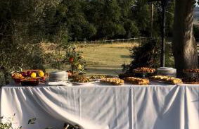 Agriturismo Podere Santo Stefano - Photo 20