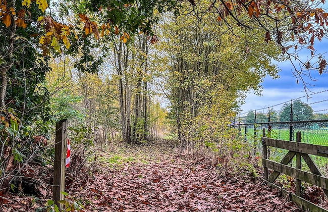 Stay at This Beautiful Accommodation in De Kiel - Photo 9