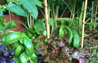 Pokój w domu z ogrodem w Milanówku - Foto 29