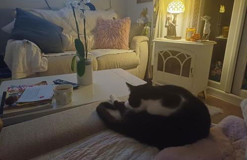 Little town house - Foto 12