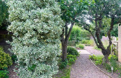 Mum's Place - Foto 23