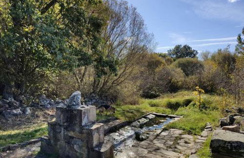 Casa Rural Tozolosolobos - Foto 44