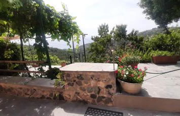 CA DU STEA - Foto 16