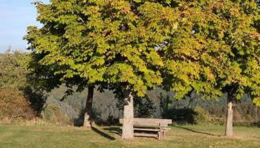 Ferienwohnung Zur Schönen Aussicht im Odenwald - Foto 5