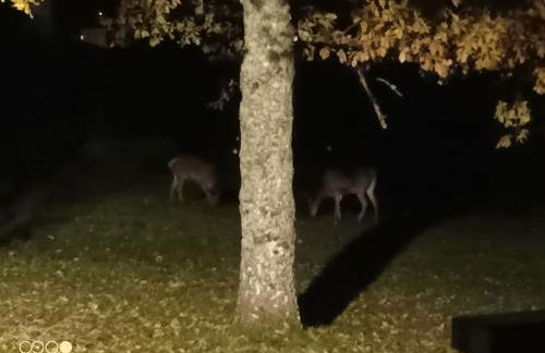 Chalet de montagne Pierre et Gaby non-fumeur hôte non professionnel - Foto 15
