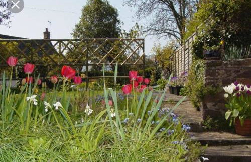 Minehead Forget me not Cottage - Photo 7