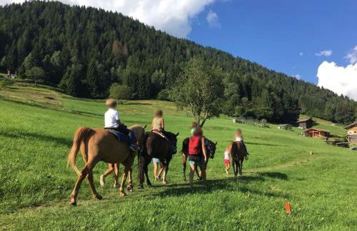 CASA BERNARD Zortea VANOI cuore verde del Trentino - Foto 25