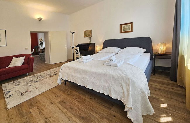 Orange Palm - Foto 10