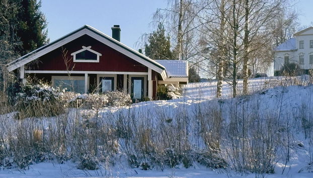 Peltosirkku - Photo 2, Inside other