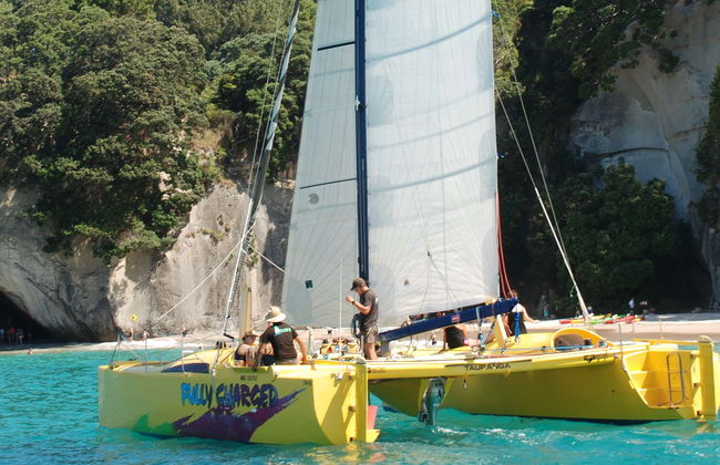 Coromandel Boat Charter with Skipper - Photo 3