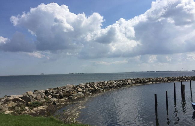 Farsighted Modern Retreat - Photo 18