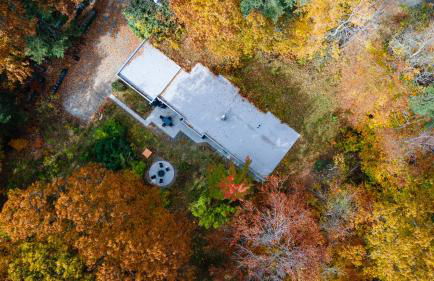 earthship forest exile - Foto 4