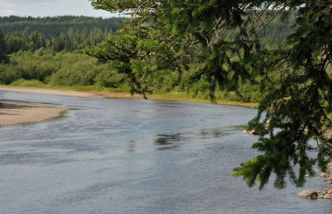 Indian Falls Chalets - Photo 71