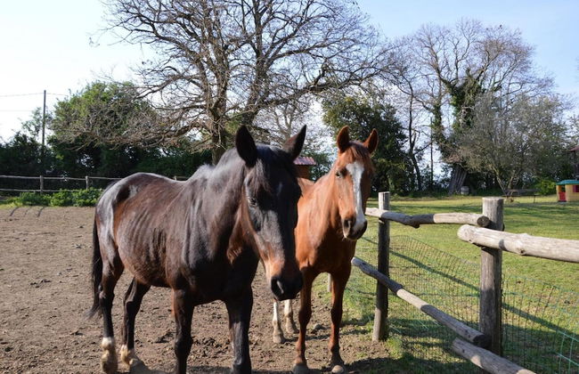 Agriturismo Tenuta Buon Respiro - Foto 18