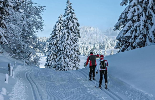 Luxurious Chalet in Riddes with Hot Tub - Foto 23