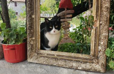 Stone house Na Rudini - Photo 58