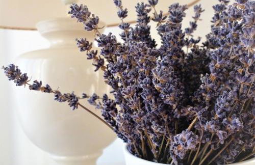 Les Terrasses - Gordes - Photo 41