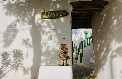 Folegandros-Cliffhouse - Foto 31