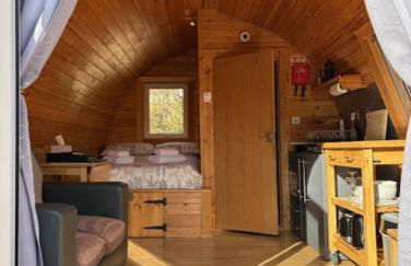 Conifer Cabins - Photo 42