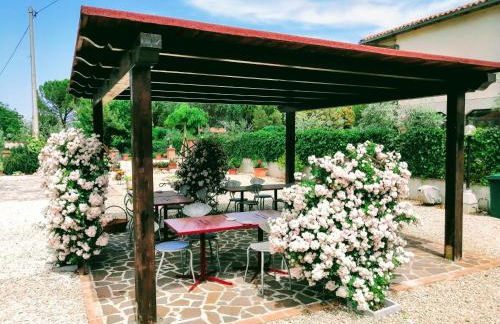 Residence Terra Dei Santi Country House - Foto 12