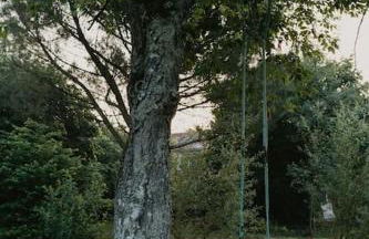 Cocon cosy et déconnecté 30min Puy du Fou - 2 chambres et 1 canapé lit - Foto 15