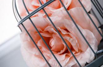 APARTMAN Brajutovci 26 - Foto 20