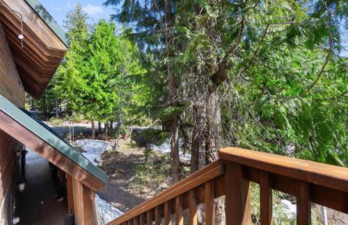 Govy Alpine Getaway - Meredith Lodging - Foto 65