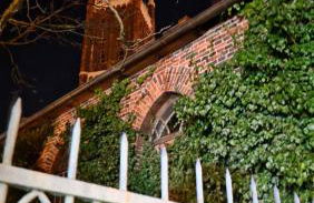 Ferien im Gartenrausch - Gönn Dir eine Auszeit im Herzen von Wörlitz - Foto 24