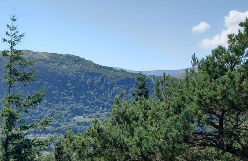 Tan y coed's Rosemary Cabin - Photo 14