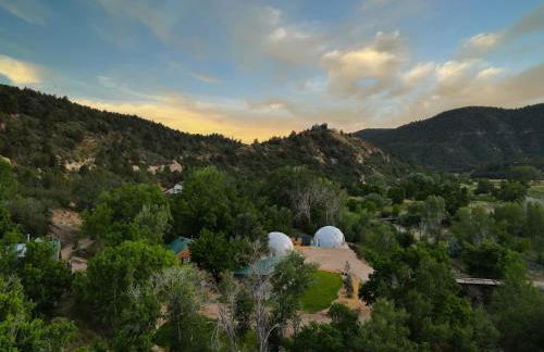 The Honeybee at Zen Zion - Foto 32