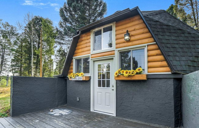 Crystal Cabin Pikes Peak Mountain w/ Wine Cellar - Foto 43