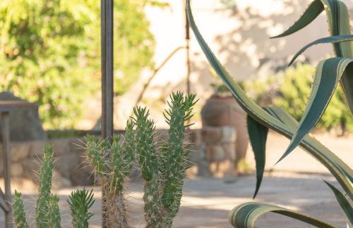 Résidence Spelonca - Foto 14