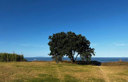 Maison a la plage - Foto 1