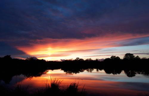 Les Buissonnets - Foto 12