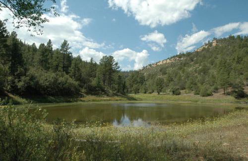Old Raton Pass Base Camp Cabin with Loft Northern New Mexico Mountain Ranch on Colorado Border cabin - Foto 25