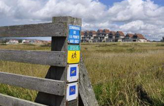 Le 246 - Duplex face à la mer pour 4 personnes, Wifi, TV full Sat, Parking - Foto 33