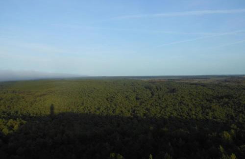 Stilove Wydmy - Foto 22