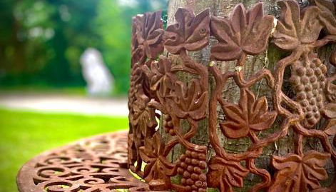 Domaine du Bal - Photo 3, Garden