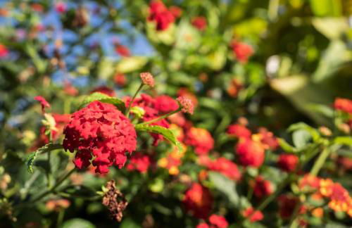 Casa Viña: a spectacular away from it all holiday - Foto 8