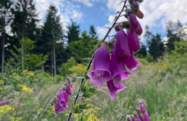 Ferienhaus Mathilda Eins - Foto 26