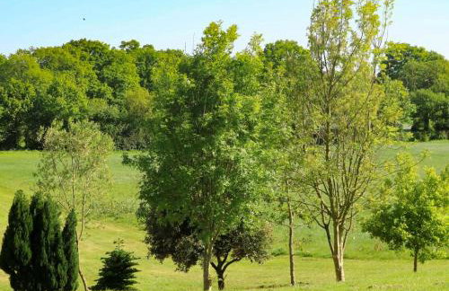 The Goyle-E4528 - Foto 9