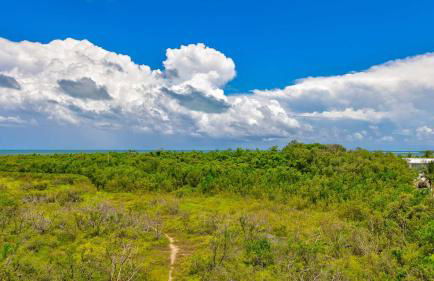 Key Largo Baha Penthouse Ocean Pointe 1416 - Foto 35