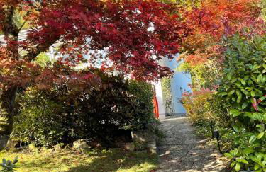 Ferienwohnung Buntspecht - Foto 23